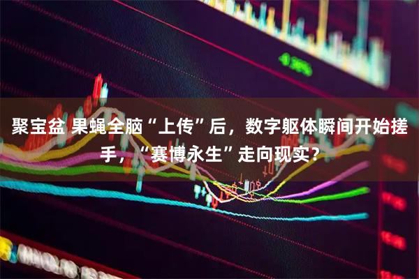 聚宝盆 果蝇全脑“上传”后，数字躯体瞬间开始搓手，“赛博永生”走向现实？