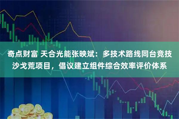 奇点财富 天合光能张映斌：多技术路线同台竞技沙戈荒项目，倡议建立组件综合效率评价体系