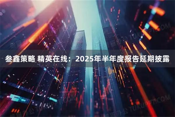 叁鑫策略 精英在线：2025年半年度报告延期披露