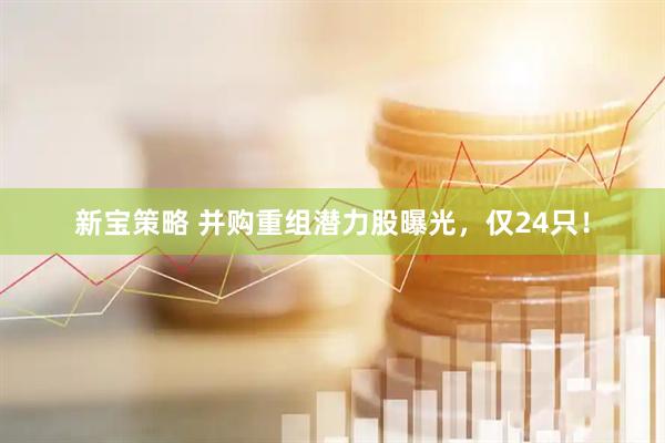 新宝策略 并购重组潜力股曝光，仅24只！