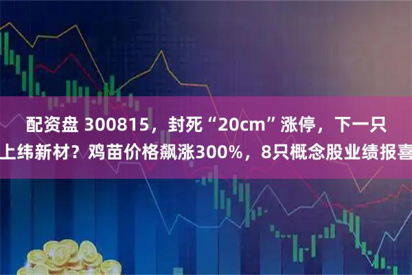 配资盘 300815，封死“20cm”涨停，下一只上纬新材？鸡苗价格飙涨300%，8只概念股业绩报喜