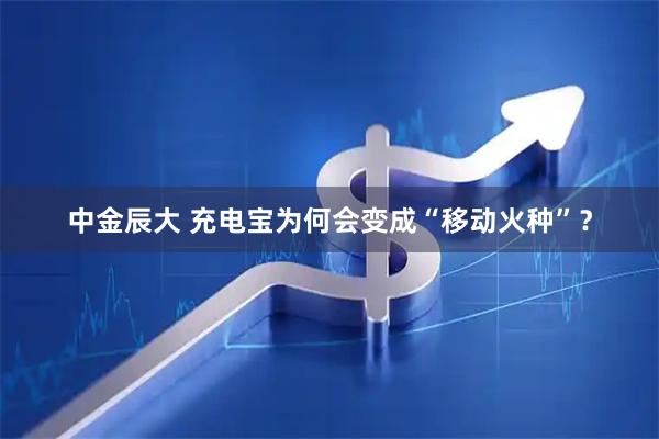 中金辰大 充电宝为何会变成“移动火种”？
