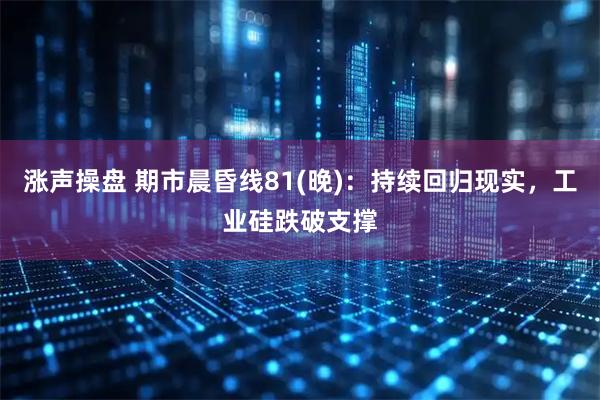 涨声操盘 期市晨昏线81(晚)：持续回归现实，工业硅跌破支撑