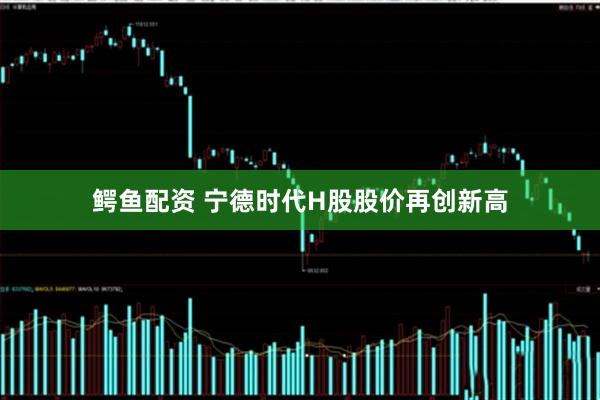 鳄鱼配资 宁德时代H股股价再创新高