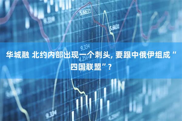 华城融 北约内部出现一个刺头, 要跟中俄伊组成“四国联盟”?